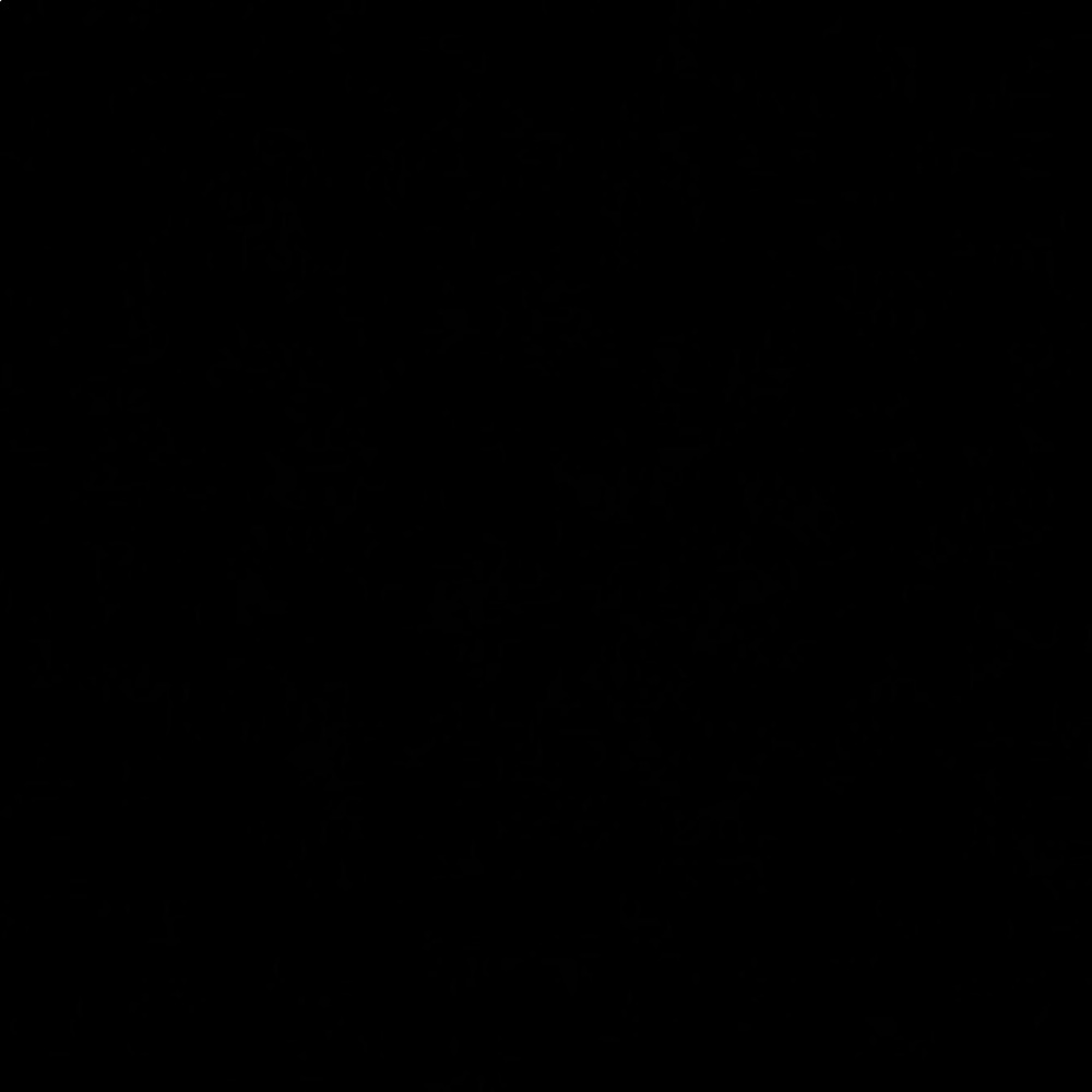 Meet your Posher, Carmen